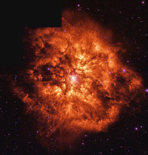 kenobi-wan-obi: M1-67 &amp; WR124 by geckzilla The massive, hot central star is known as a Wolf-