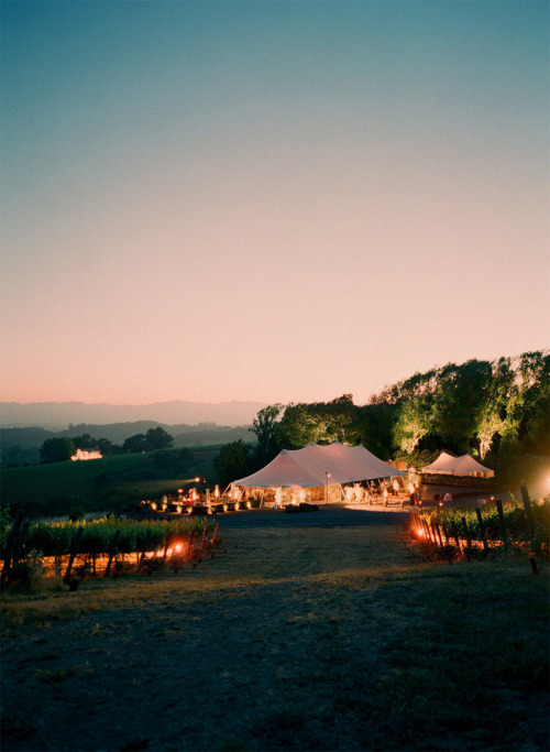 Chalk Hill Estate in Healdsburg, California.