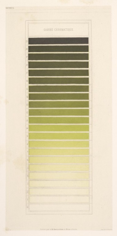 René Digeon &amp; Michel Eugène Chevreul, color charts, 1786-1889. Steel engraving. From the book Co