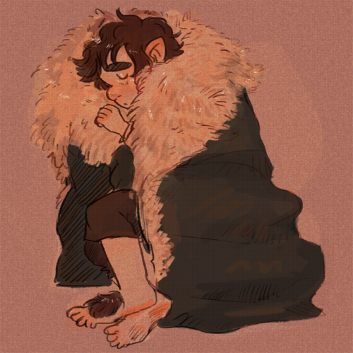 inchells:  One of you guys replied wishing me an image of a Bilbo sleeping in Thorins cloak and I couldn’t get it out of my head so I had to draw it 