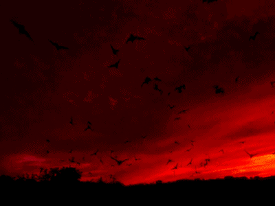 so-goth:  ✝ LOVERS OF ALL THINGS DARK ✝