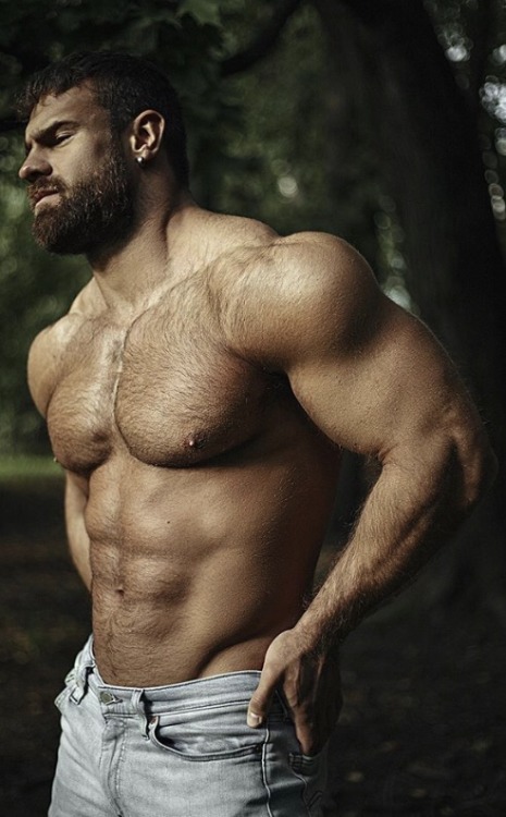stefanocici: