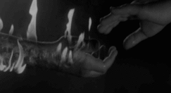 ecadonolefoglie:  Non ho parole per questa gif.. 