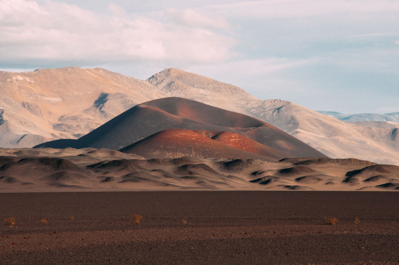 ARGENTINA — photographed from an RV at 80km/h.
photo ZELMIRA FRERS.