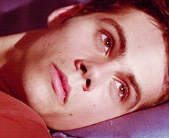 hiding-in-a-fantasy:              Sterek AU In which Stiles won’t stop pestering Derek, so Derek decides to show Stiles just what he is capable of. Both of them wondering what in the hell they were thinking when they wake up the next day.   