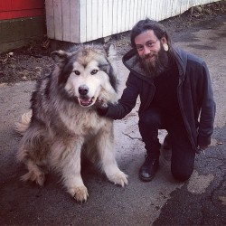 rita-haxx:  faunagrey:  gogoblackwater:  A couple of wolfies 💜 @ariot666 #Chonchodaily  Holy fuck  !!!