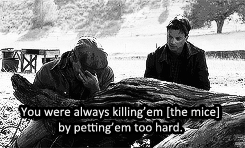 stayb1azed:  elyamartell:  Of Mice and Men  &amp; The Walking Dead   Obviously the only thing I could think of during the entire episode!!!