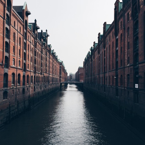 danielodowd:  flmrkt