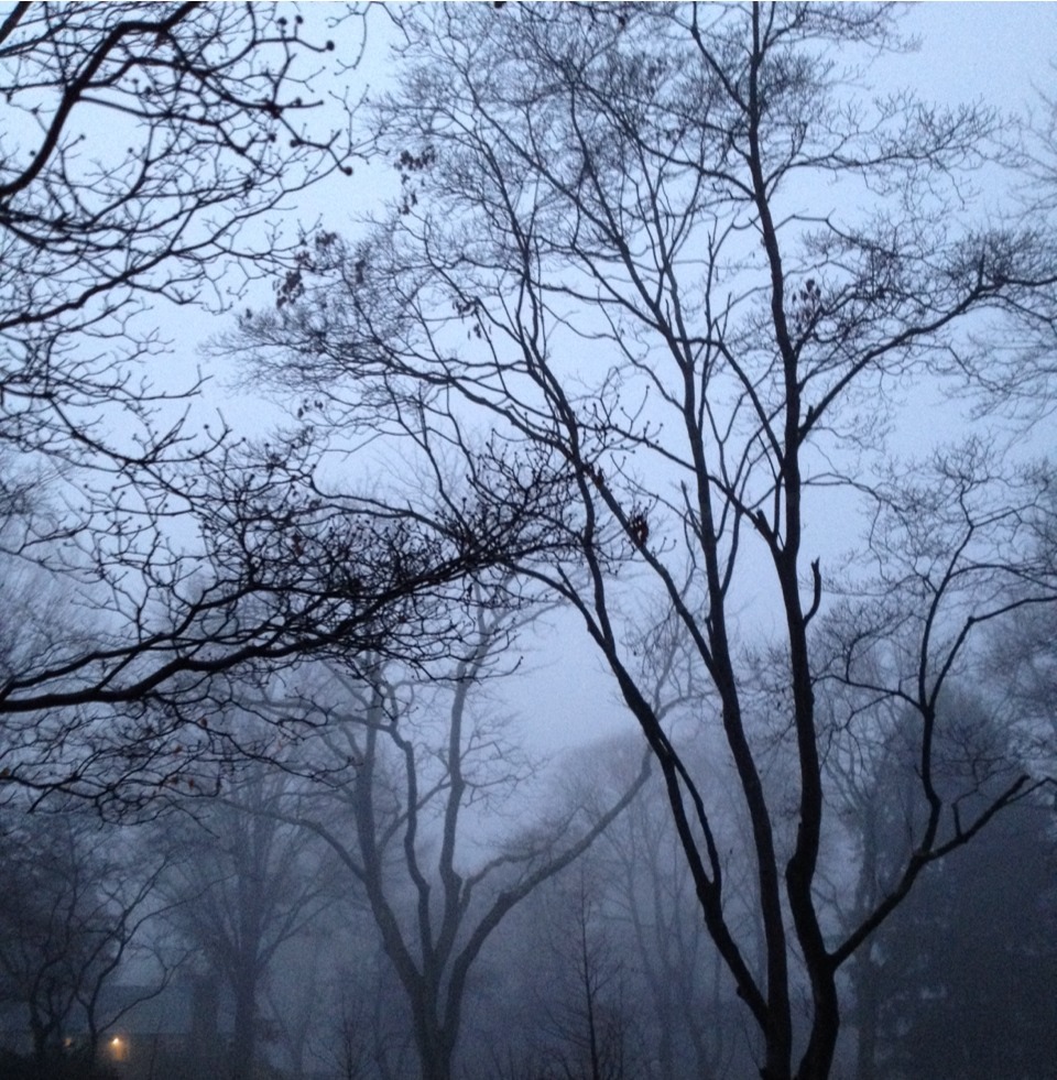 qoax:  every morning the sky is so different 