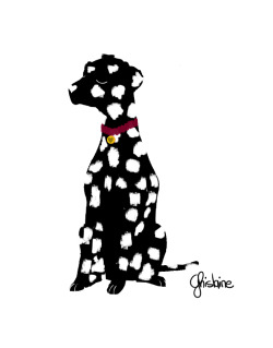 poilsetcroquettes:  11- Reverse Dalmatian