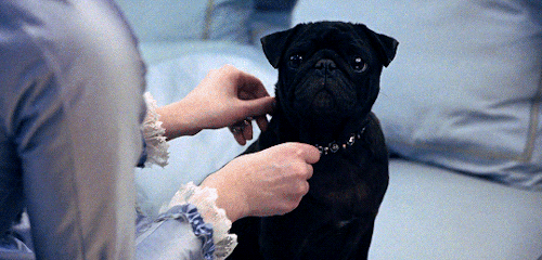 witchinghourz: - This is ridiculous.- This, Madame, is Versailles. Marie Antoinette (2006) dir.