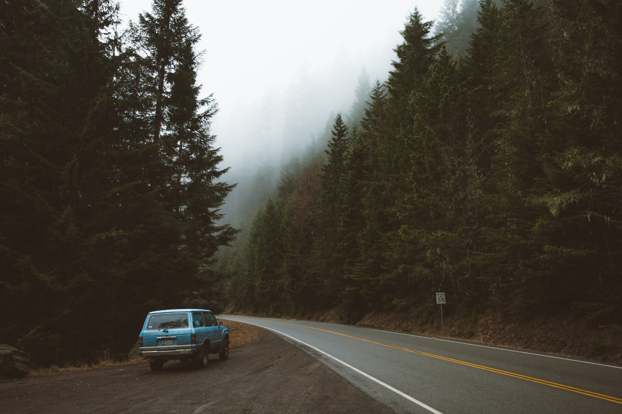 forrestmankins:Life on the road Pt. II