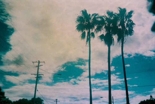 Redcliffe, Australia. April 2018. Yashica Electro GX, Industrial 100.