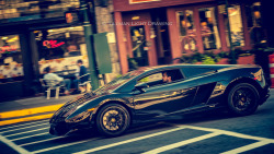 automotivated:  Lamborghini Gallardo (by Alex Tillman)