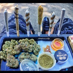 weedporndaily:  Life is full of decisions ;) by dabstars http://ift.tt/1uPWBm0