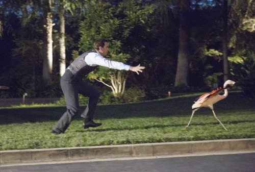 Edwin Jarvis in episode stills for Agent Carter 2x02 | aka Jarvis vs. a flamingo