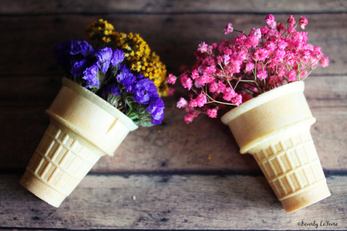 floralls:flower cones (by life stories photography)