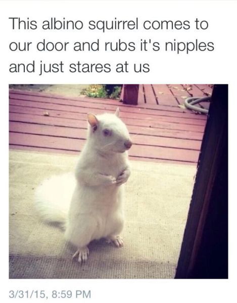 https://ayguy3311.tumblr.com/post/116629047780