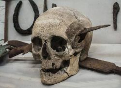 florpoetis:  Skull, found in France, with