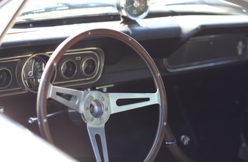 francescolt:   G.T.  350