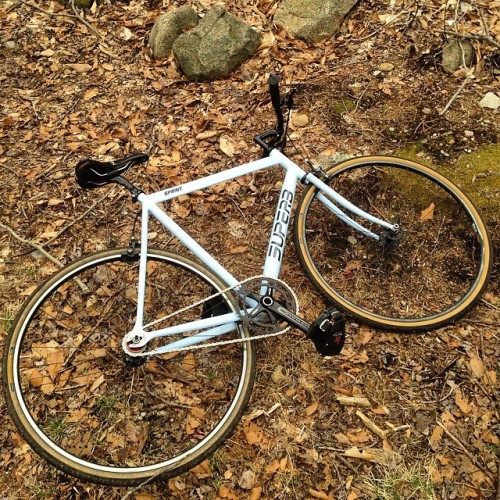 superbbicycle: #superbsprint #trailride #adventurebike @jasonsuperb (at Dogtown Common)