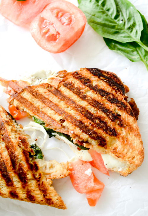 verticalfood:  Whole Wheat BLT Caprese Panini