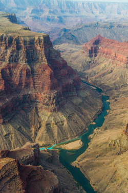 oecologia:  Grand Canyon and the Colorado River - Aerials (Wyoming) by Erika Wang.