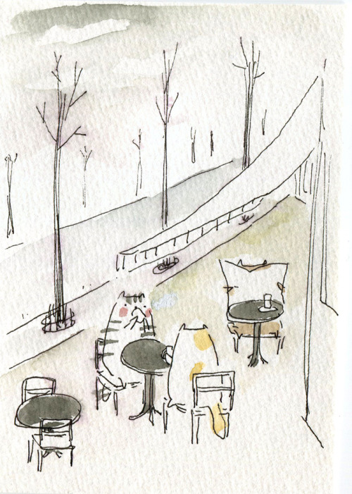 cats on a terrasse.