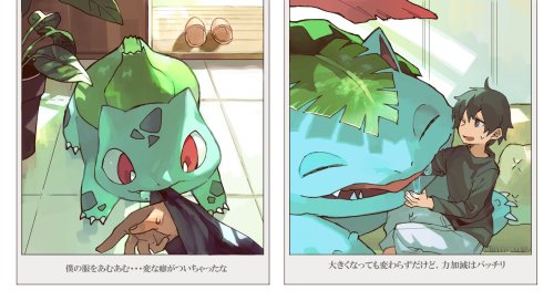 a-redharlequin:cubonepropoganda:
eeveelution-appreciation:


kradeiz:

arrghigiveup:

gale-of-the-nomads:

notsomerryerry:

chabbit:

bulbasaur-propaganda:

Growing up with your starters
Artist: 

esasi8794 / Twitter

The captions are also really cute, although they mostly describe what’s in each photo:
Bulbasaur: Somehow, nomming on my clothes… has become a weird habit of theirs.
Venusaur: That hasn’t changed now that they’ve grown, but they’re very gentle.
Charmander: It’s my first attempt, but I made a plushie so that he wouldn’t get lonely.
Charizard: That plushie seems to be his favorite even now.
Squirtle: Squirtle’s a bit timid and hides behind me at the smallest things.
Blastoise: Looks like they’re scared of the first Pichu they’ve seen. You’re not really hiding!



@noelle217 



This is adorable 

They just posted some more!
[source]

And some more! 



You forgot these!!!



I’m disappointed that these were left out



SO MANY GOOD ONES AAAAAAAAAAAAAAHHHHHHHHHHHHHHHHHHHHHH #pokemon