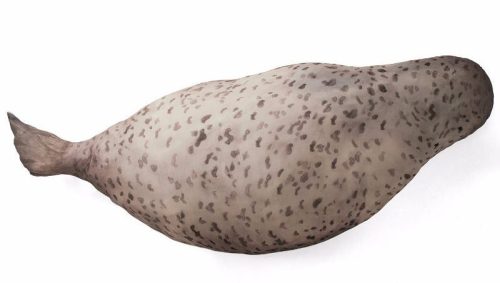 archiemcphee:  Mondays can be rough, but Monday blues don’t stand a chance against one of these adorable spotted seal cushions from Felissimo (previously featured here). Each soft, smiling seal is actually a large plush case meant for storing winter