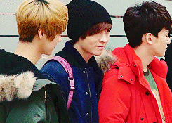 kyungsol:   beauties   