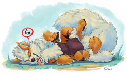 pawsforemphasis:  Sleepy Arcanine, after