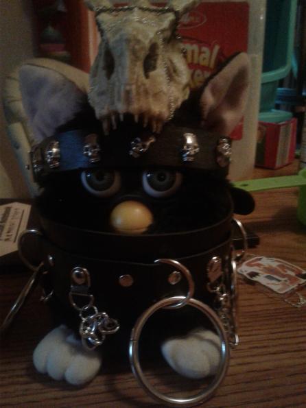 This Is My New Furby And Her Name Is Shaolock'Ultain The Accursed Lord Of Evil, Or Shao Shao For Short