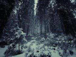 spellbound-souls:  Frozen by Topielica666