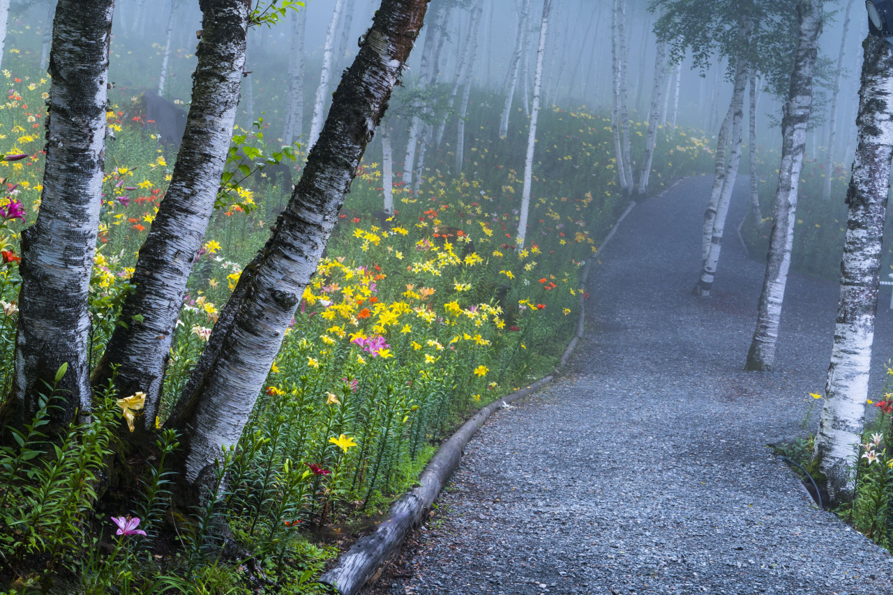 myend-ismybeginning:  Source. 
