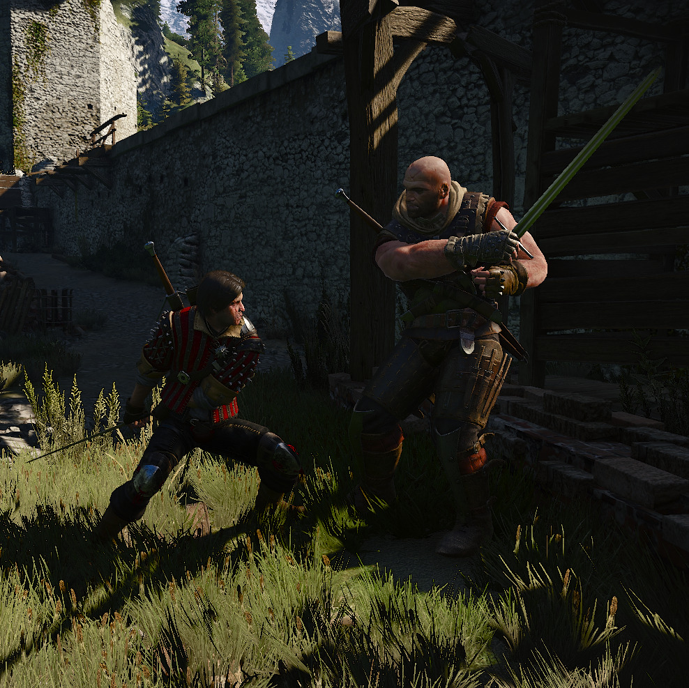 the witcher 2 lilies and vipers the witcher 2 lilies and vipers