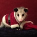 whenifeellikeitpossums: