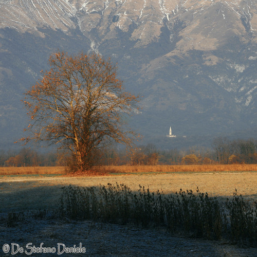 Campagna di Aviano by DeStefano Daniele (OFF-OFF-on) on Flickr.