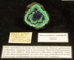 ifuckingloveminerals:  Malachite, AzuriteMorenci,