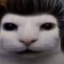 yakuzcar