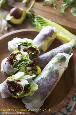 beautifulpicturesofhealthyfood:  Healthy Quinoa Avocado Spring Rolls…RECIPE 