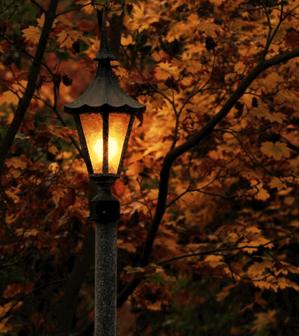 kinderhearts:Happy fall 🍂