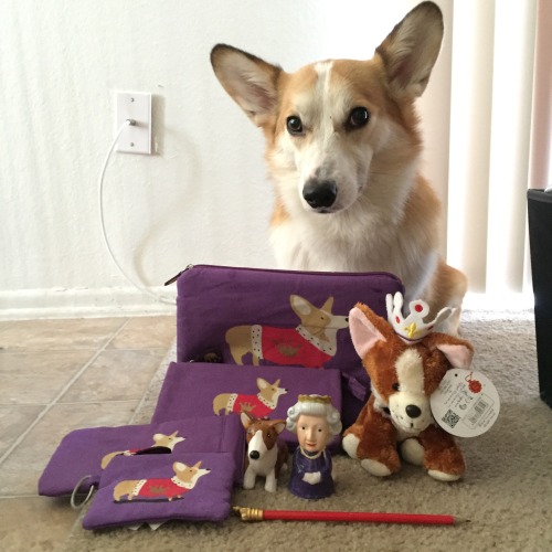 Corgi souvenirs from London!