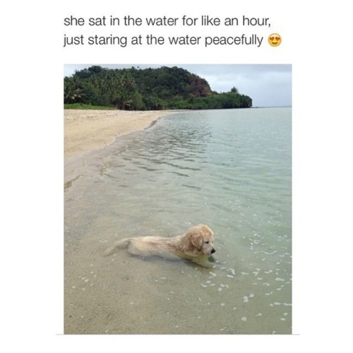 She gets it.