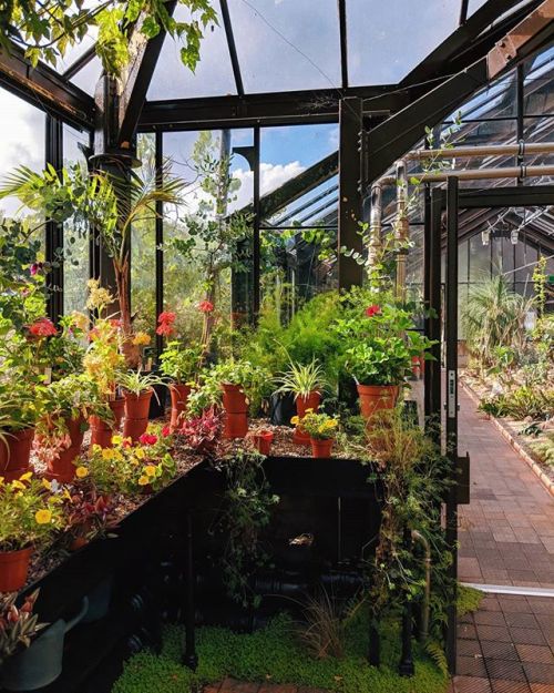 Don&rsquo;t you love a good #greenhouse? - I do. I&rsquo;d much rather be in one right now t