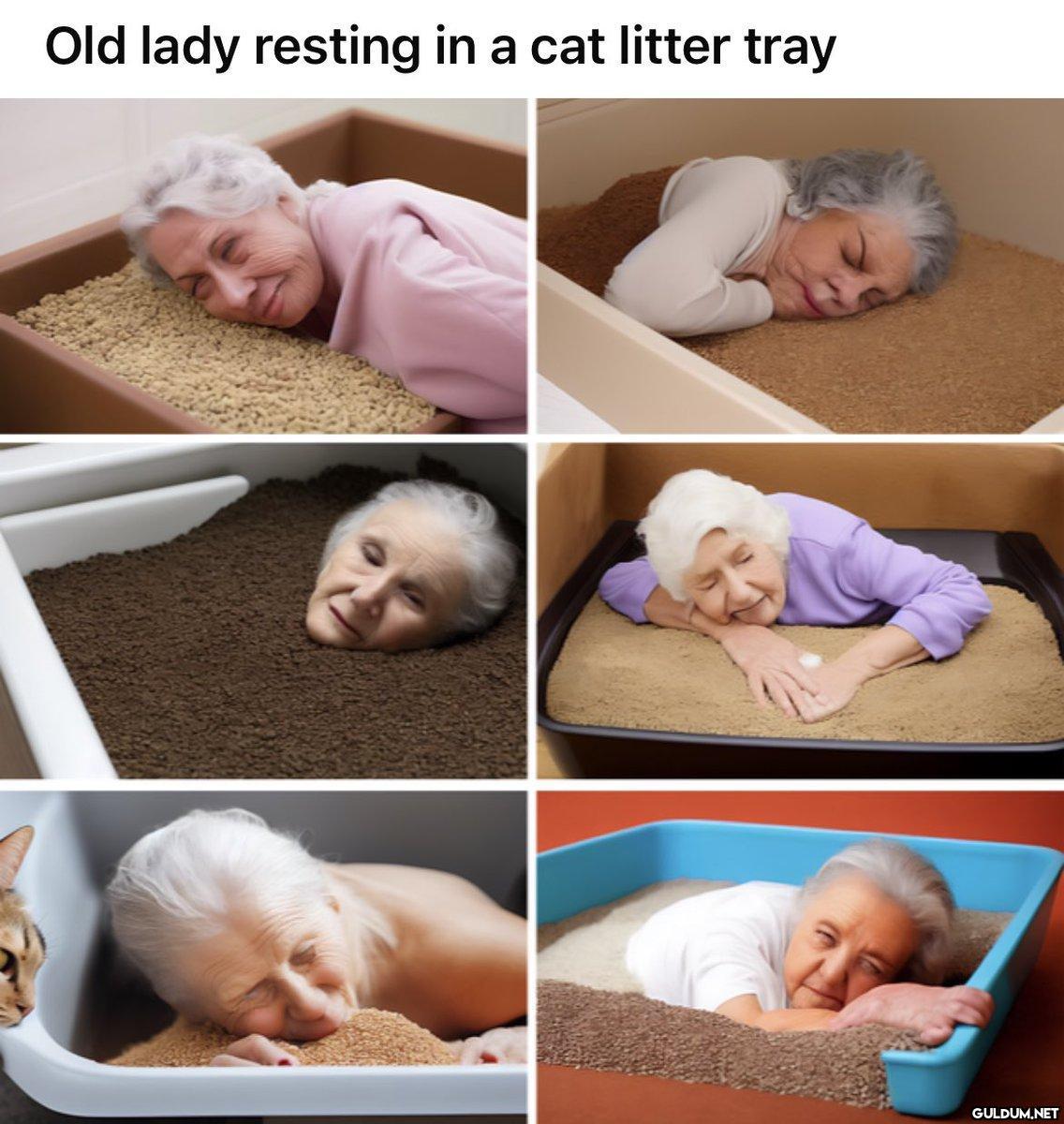 Old lady resting in a cat...