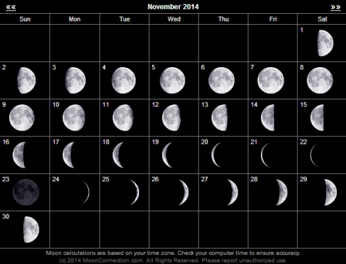 wiitch-craft: zooeyglass-zorba:  November 2014: Moon Calendar  ✯☽ 