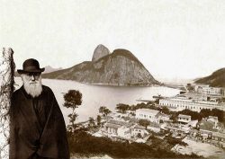 Charles Darwin in Rio de Janeiro, 1832