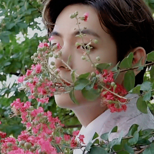 The Most Beautiful Flower