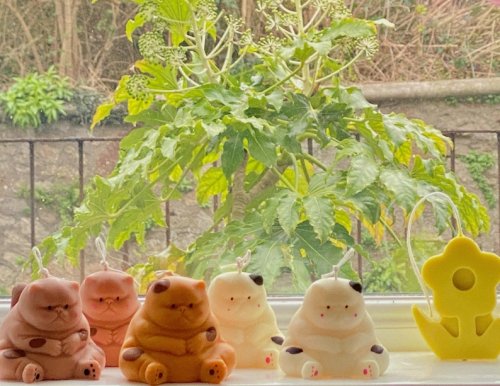 littlealienproducts:    Painted cat candles - cat lovers by cozylanduk